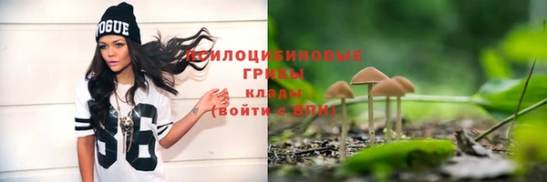 таблы Алзамай